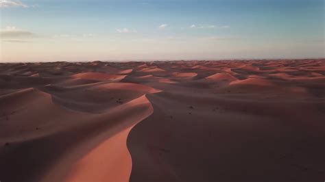 Sand Dunes And Flying Crows In Sahara Desert Stock Footage Sbv 347409780 Storyblocks