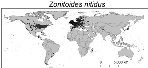 fig  map   occurrences  zonitoides arboreus sl