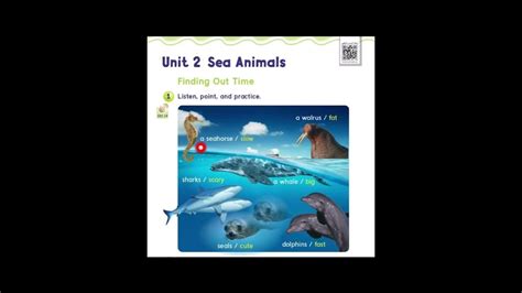 We Can 3 Unit 2 Sea Animals Talk Timeمنهج اللغة الانجليزية الصف الثالث