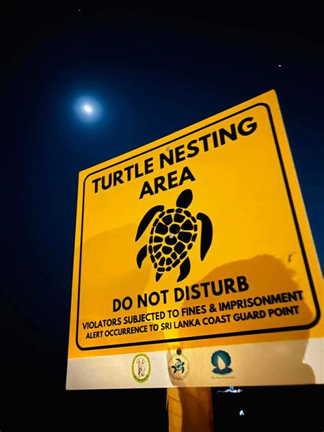 Retrace Hospitality — Turtle Patrol Redirecting Tourism Revenue For