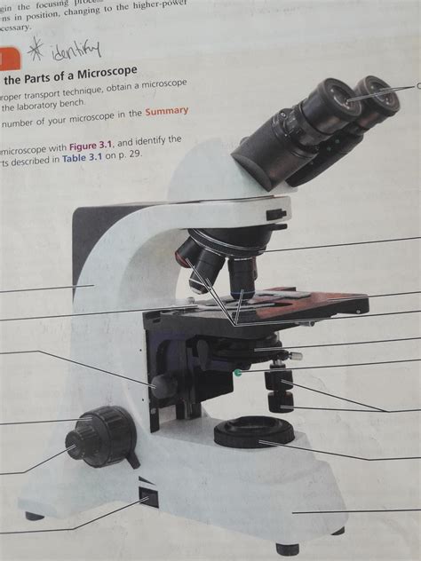 A P Lab Chapter 3 Microscope Diagram Quizlet