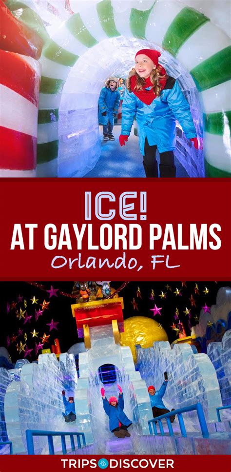 Visit ICE! at Gaylord Palms in Orlando, FL This Christmas 2024 – Trips ...