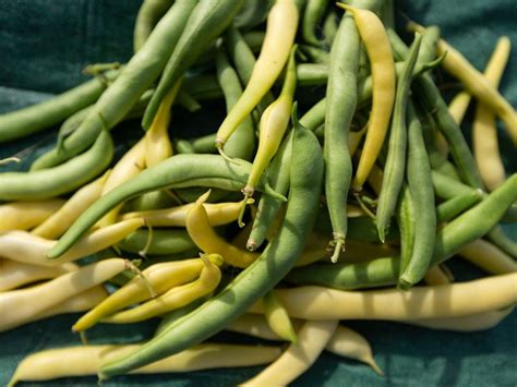 Community Garden Being Planned For Sauble Beach Owen Sound Sun Times