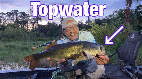 INSANE Topwater Blowups Micro Fishing YouTube