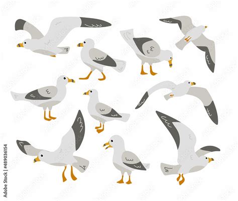 Seagull Cartoon Character Flat Vector Illustrations Set Cute Comic