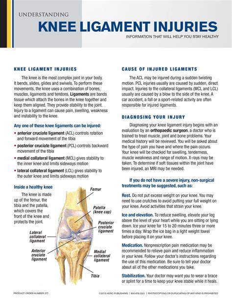 Understanding Knee Ligament Injuries - HERC Publishing