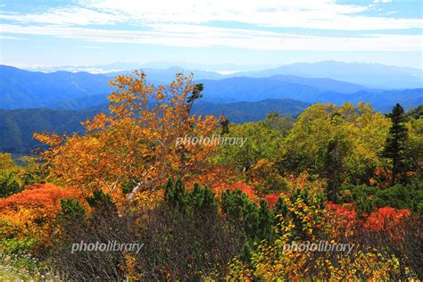 乗鞍岳中腹の紅葉 写真素材 5994520 フォトライブラリー Photolibrary