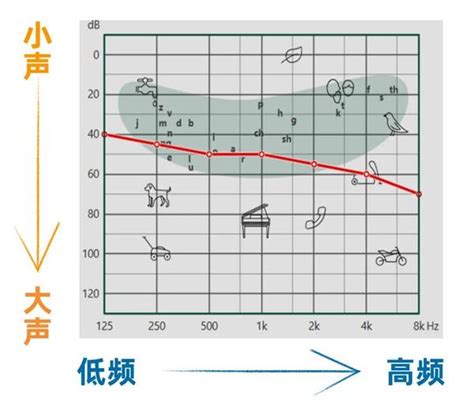 正确认识听力损失【上】 知乎