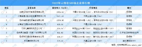 盘点：云南地区500强企业（2022）财富号东方财富网