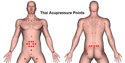 Acupressure Point Locations In Thai Massage