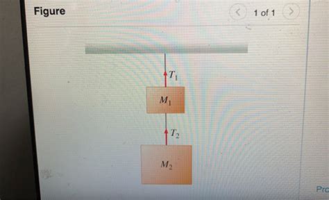 Solved Two Blocks With Masses M1 And M2 Hang One Under The