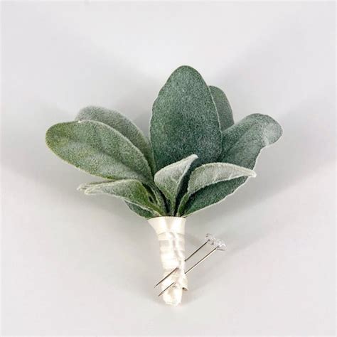 Lambs Ear Etsy