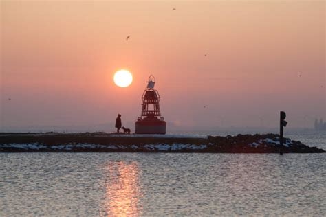 20+ Aalsmeer Monument Lake Netherlands Stock Photos, Pictures & Royalty ...