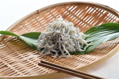 【栄養士監修】しらすの栄養を徹底解説！食べ過ぎると体に悪い？｜魚介類｜虎ノ門コラム