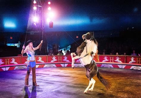 Shrine Circus 2024 Grand Forks Nd Lotti Rhianon