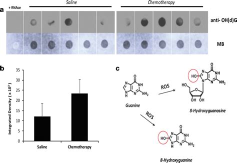 A Immuno Dot Blot Analysis Of Unfractionated Total Rna From The