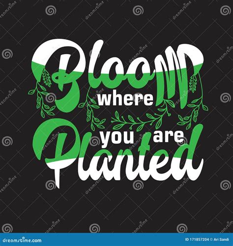 Gardener Quotes And Slogan Good For T Shirt Bloom Where You Are