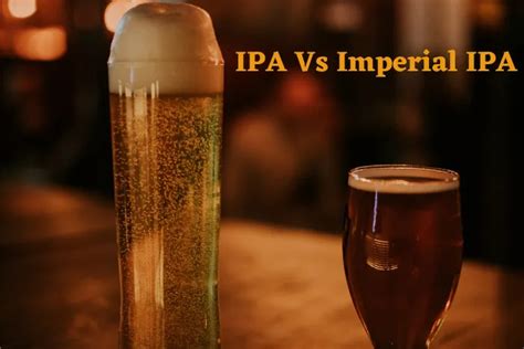 Exploring The Differences Between IPA And Imperial IPA