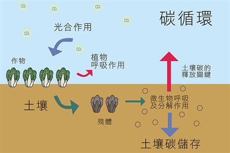 讓有機農業成為淨零夥伴