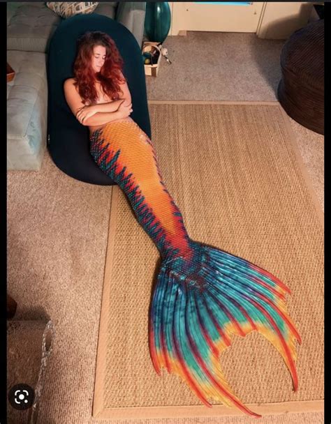 Pin By Melissa Antonucci On Antonucci Mermaid Tail Designs In