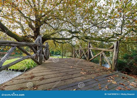 Wooden Bridge Over Water Leading To A Park With Trees Stock Photo