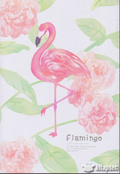 Unick Color Ciltli A5 Plastik Kaplı Flamingo Defter Taros 8820820182021