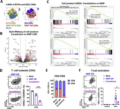 Enhanced Safety And Efficacy Of Protease Regulated Car T Cell Receptors