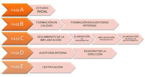 Movimiento Calidad Elemental Fases Del Proceso De Auditor A Enfatizar