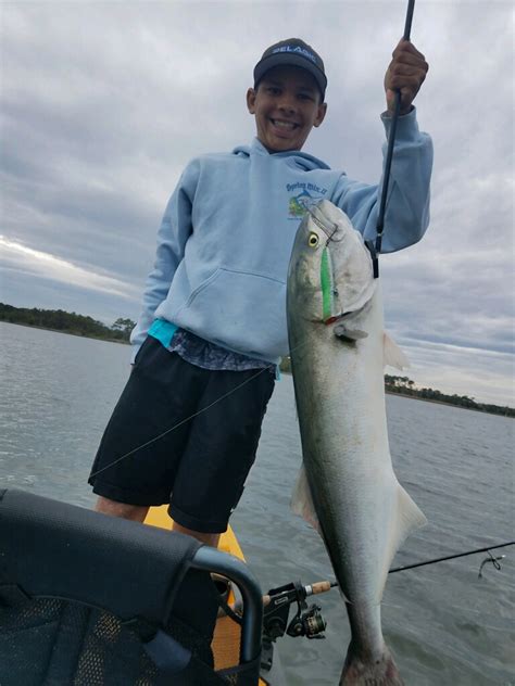 Big Bluefish Chesapeake Rock And Drum In The Surf Ocean City Md Fishing