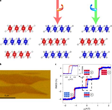 All Optical Magnetization Switching In Atomically Thin Magnetic Crystal