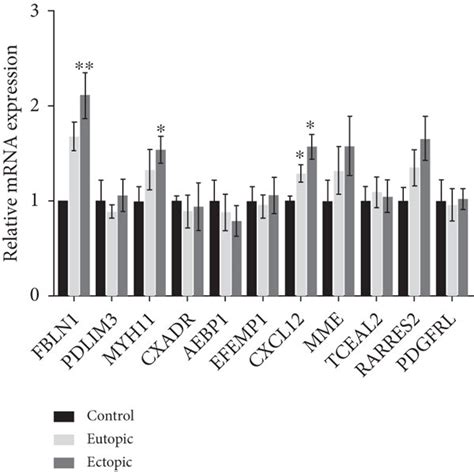 Fbln1 Expression Was Upregulated In Eutopic And Ectopic Endometrial Download Scientific Diagram