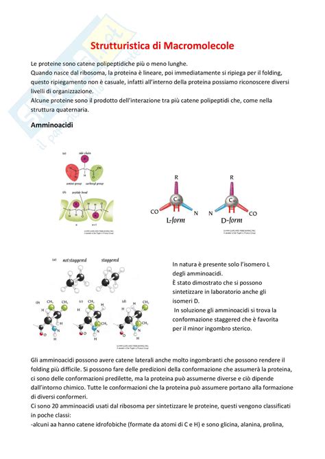 Strutturistica Di Macromolecole Appunti Di Laboratorio Biomolecolare