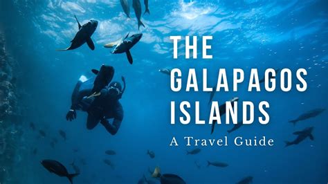 The Galapagos Islands Travel Guide What I Wish I Knew Youtube