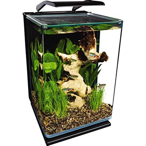 Best Betta Fish Tanks Reviews With Top Picks And Buyers Guide 2018