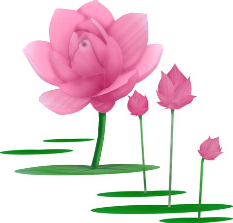 Beautiful Lotus Flower Clipart Free Vector Graphics And Illustrations