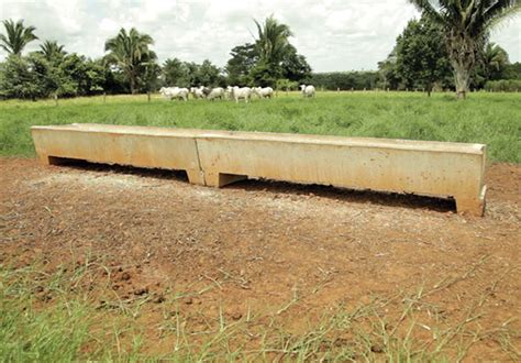 Cochos para Confinamentos Concrenorte Pré Moldados Araguaína