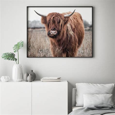 Framed Wall Art Highland Cow Poster Prints Home Hanging Etsy