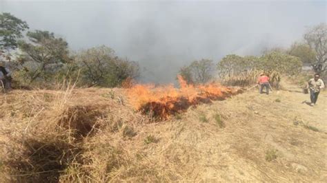 Continúan Los Trabajos De Sofocación De Voraz Incendio En El Cerro De