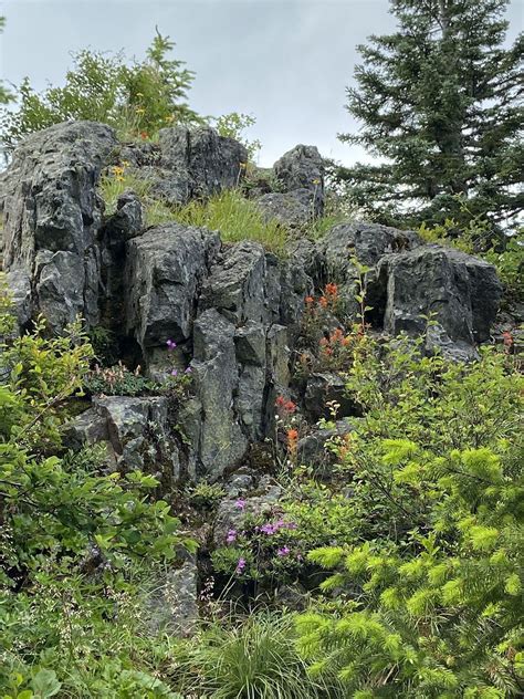 Rocky Top Trail [CLOSED] - Oregon | AllTrails