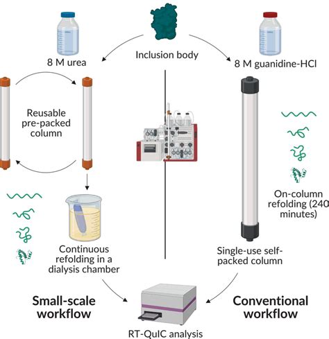 Real‐time Quaking‐induced Conversion Assay Using A Small‐scale