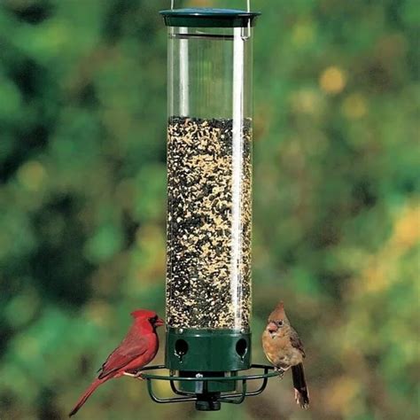 Squirrel-Proof Bird Feeder