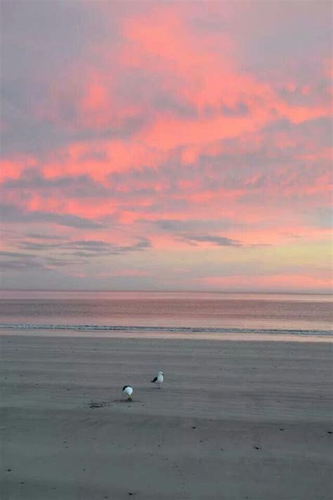 Dwarskersbos The Pink Minutes Before Sunset On The Beach Western