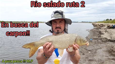 PESCA EN RIO SALADO Buena Variada En Familia Carpas Pejerrey