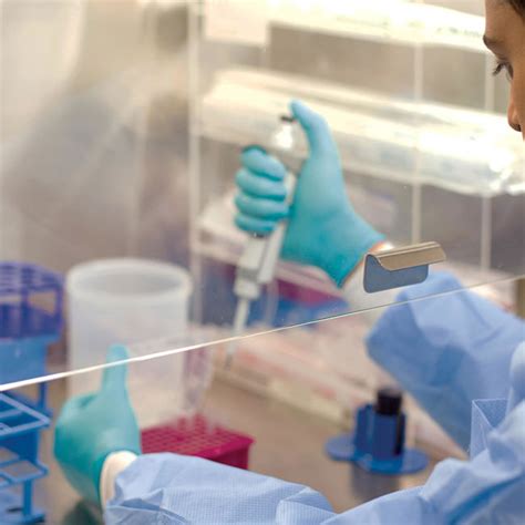 BSc Biomedical Science / Applied Biomedical Science | UWS | University ...