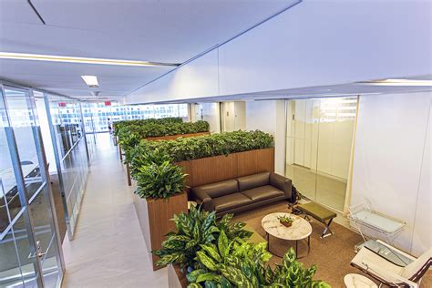 Landscaping Interior Hc