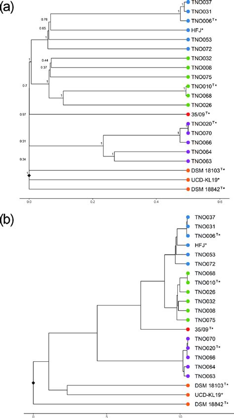 Relationships Between The Genomes Of The Sequenced Strains And Ncbi