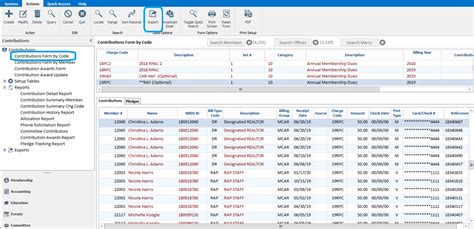 Contribution Reports And Exports Rapattoni Corporation