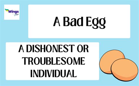 A Bad Egg Idiom Meaning Examples Synonyms Leverage Edu