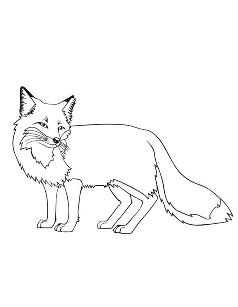 Red Fox Coloring Page at GetColorings.com | Free printable colorings ...