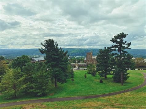 Green Trees in a Park Under Cloudy Sky · Free Stock Photo